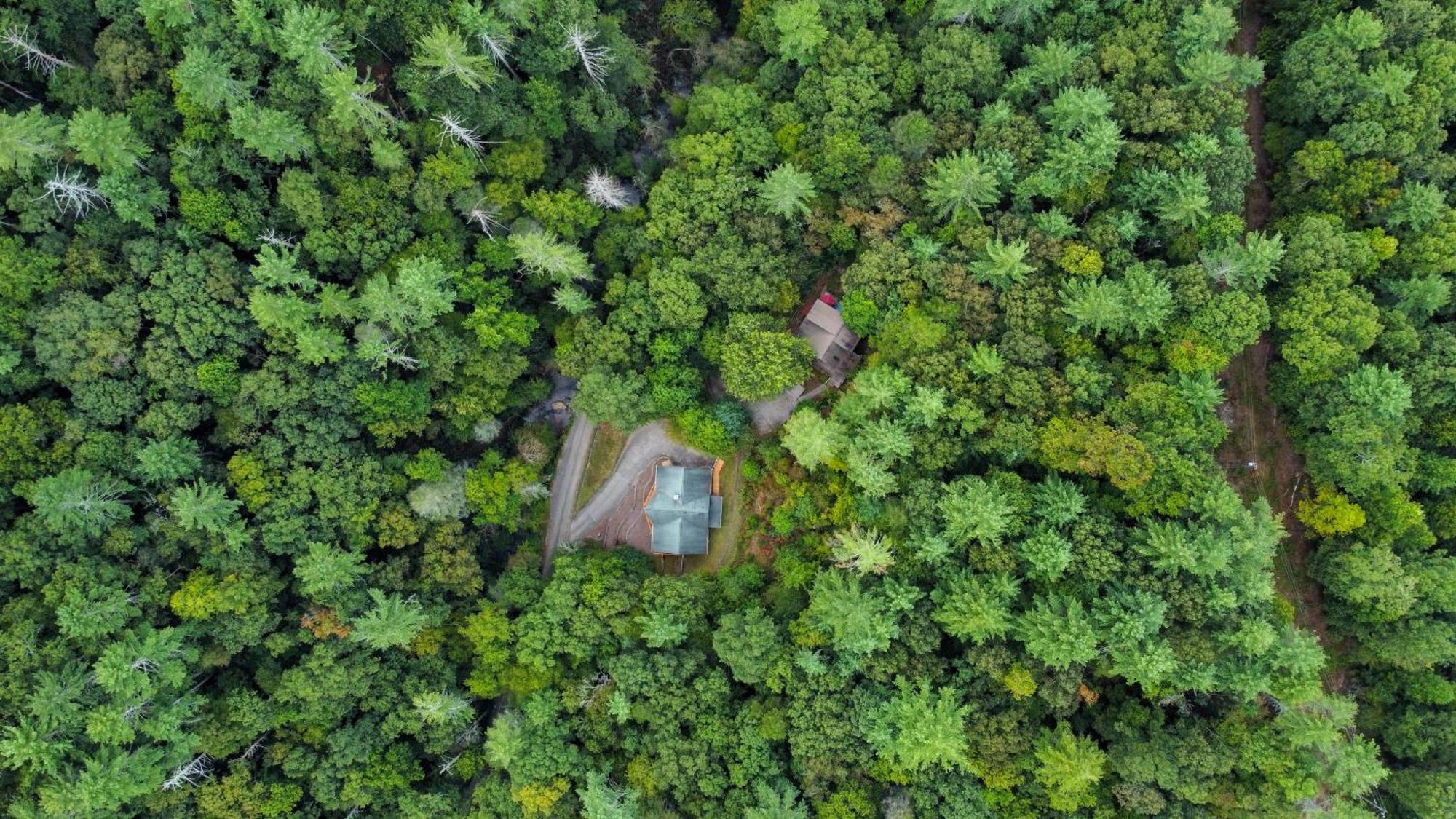 Amazing Creek View Cabin W/ Hot Tub, Firepit & Pool Table Ellijay Exterior foto