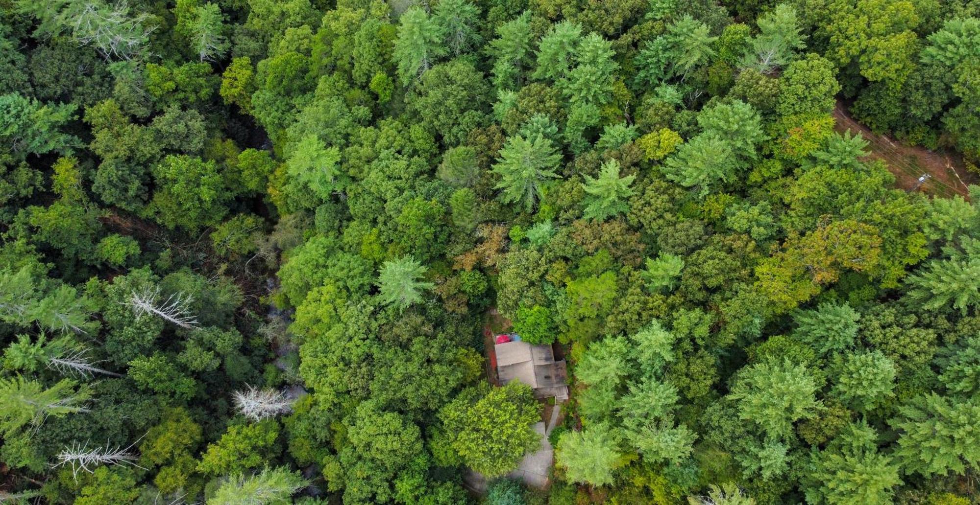 Amazing Creek View Cabin W/ Hot Tub, Firepit & Pool Table Ellijay Exterior foto